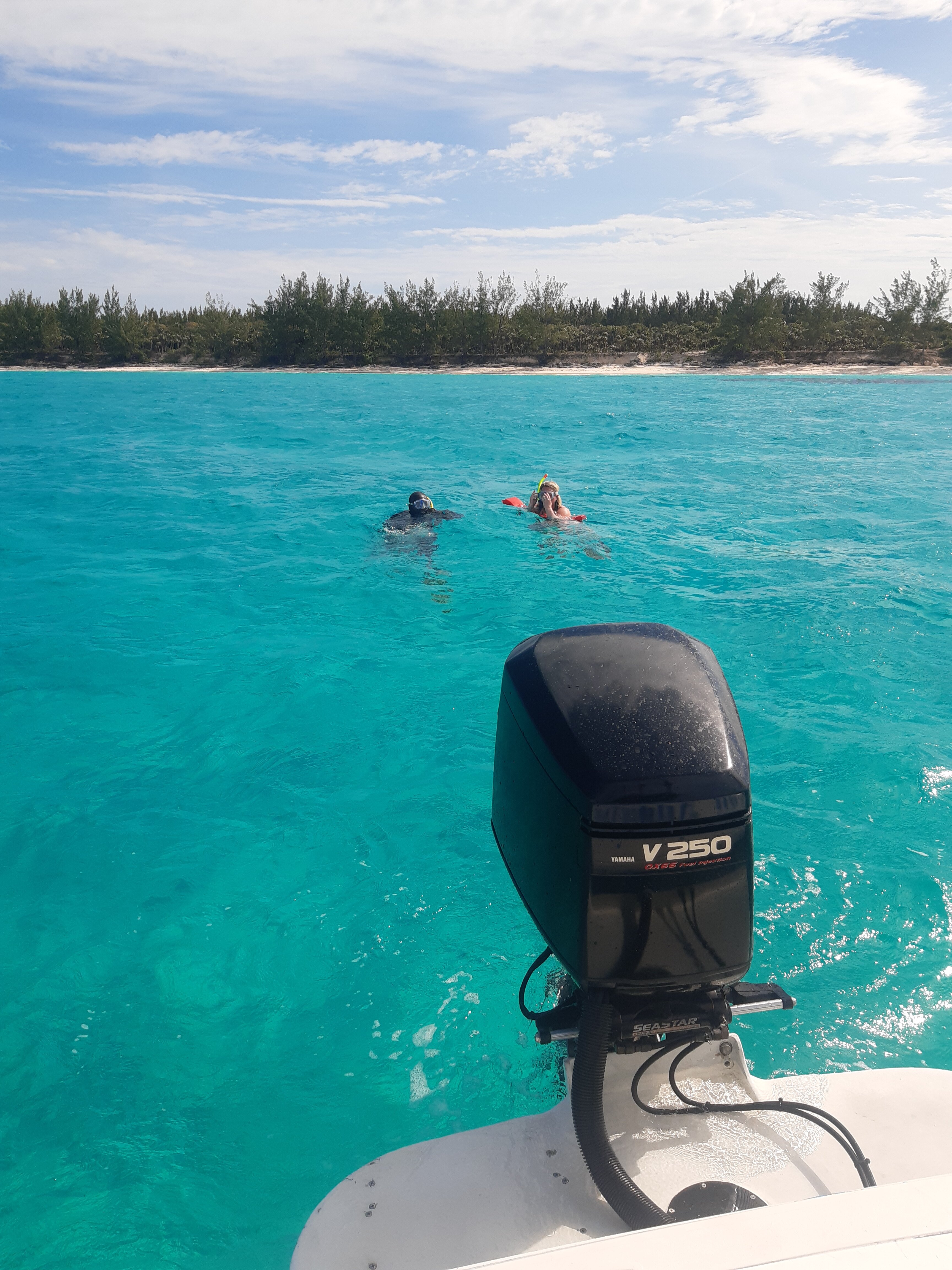Roses Beach-portrait
