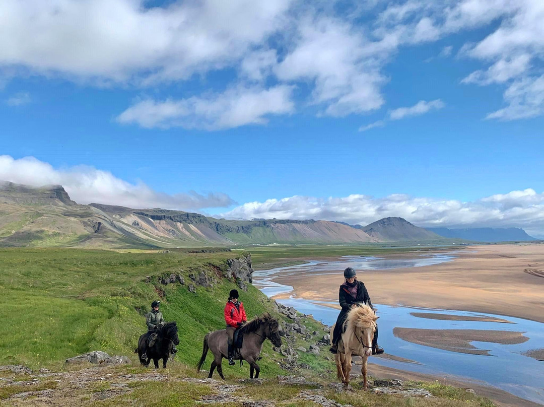 Gröf Horseback Riding Iceland & The Holy Ram Lodge景点图片