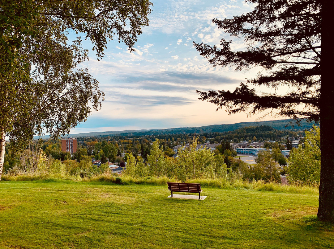 Connaught Hill Park景点图片