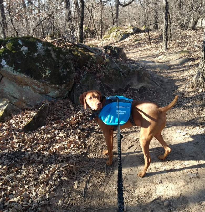 Endeavor Bridgeport Adventure Park-Bridgeport必去景点