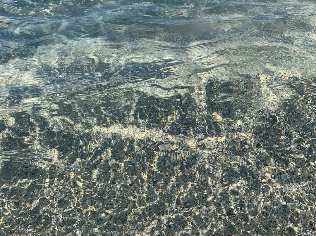 Hotel Media International主图