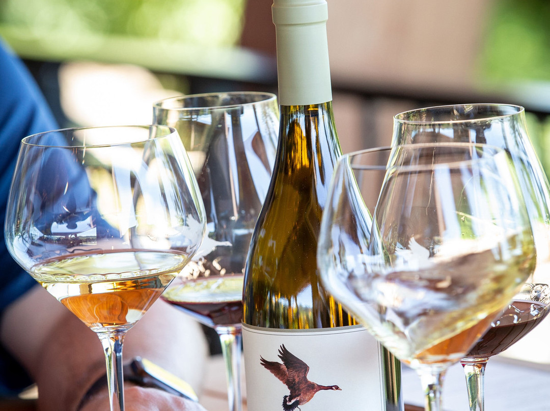 Dusky Goose Winery-Dundee必去景点