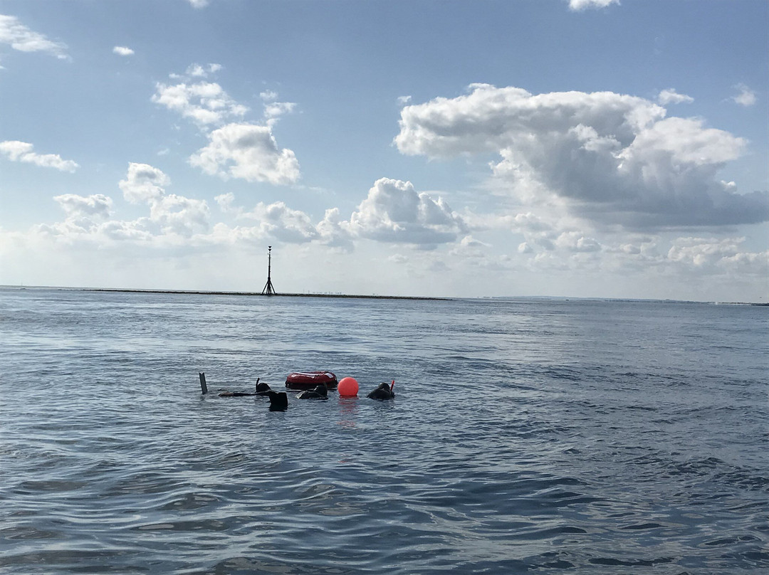 Mulberry Marine Experiences C.i.c景点图片