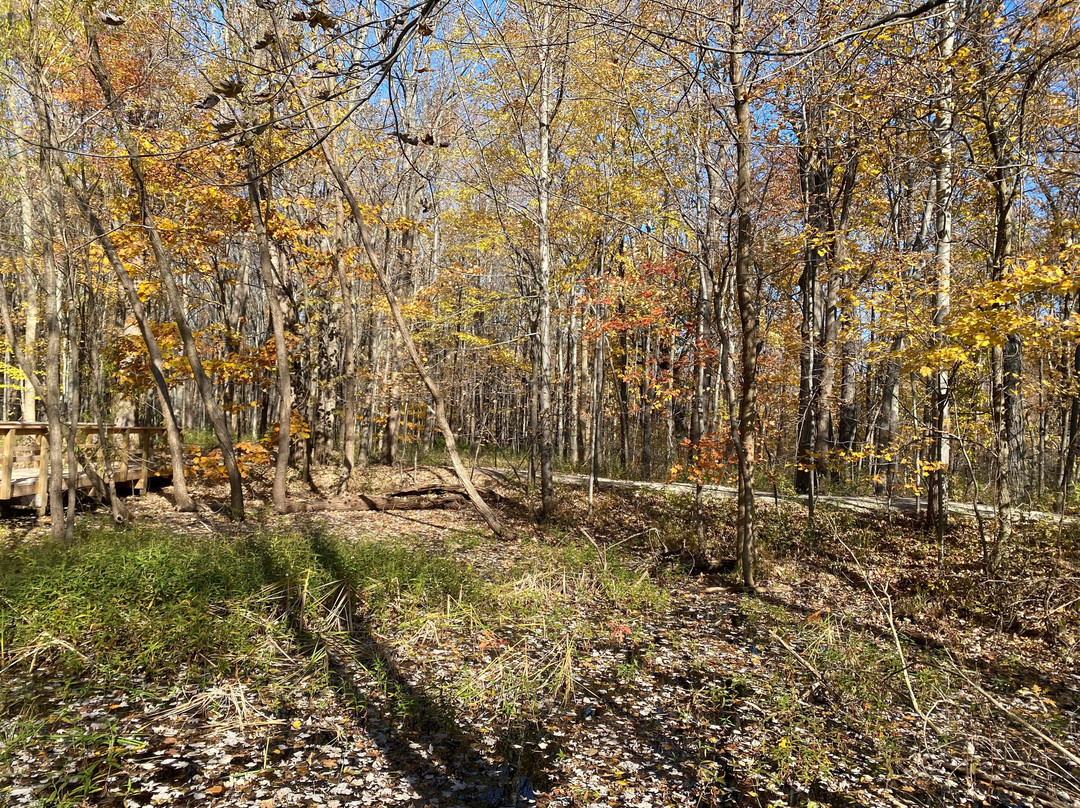 Veterans Park-Mentor必去景点