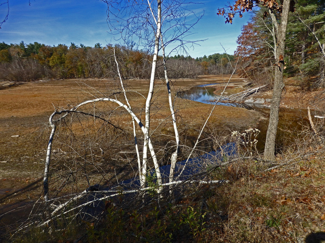 Norvin Green State Forest景点图片