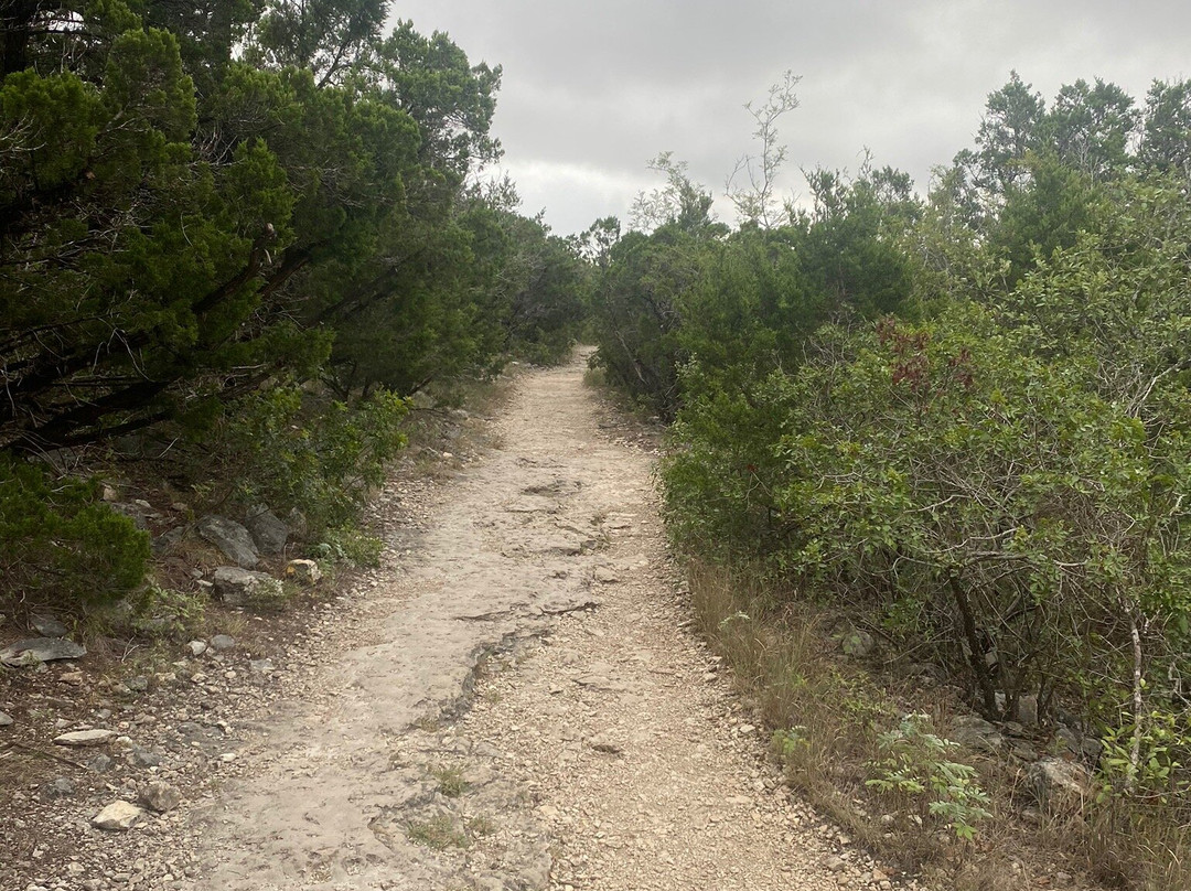 Friedrich Wilderness Park景点图片