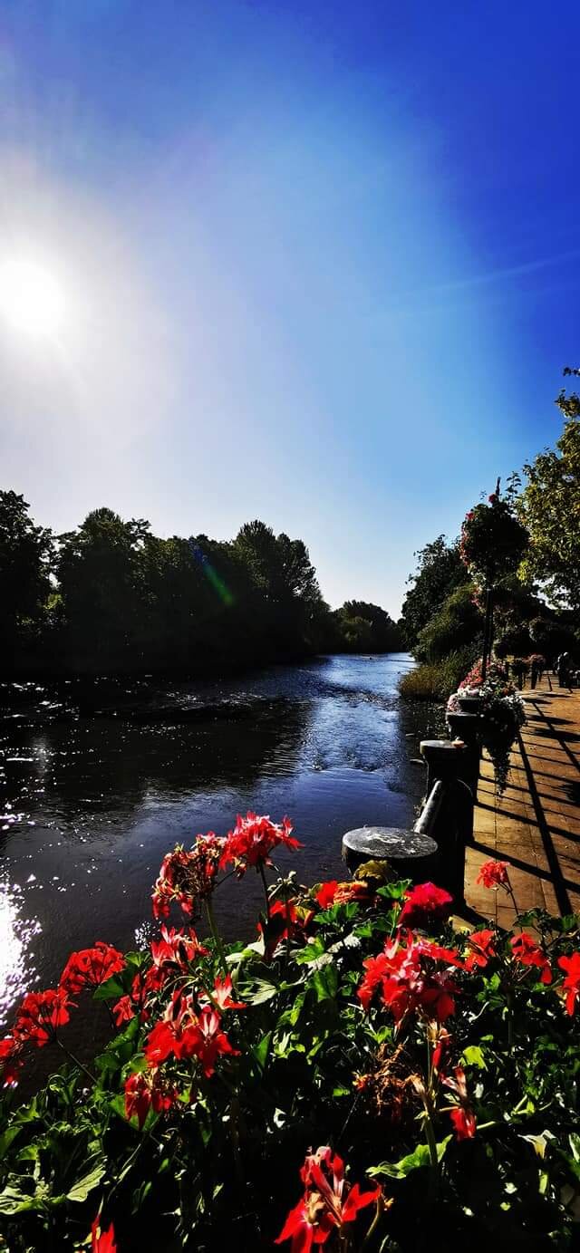 The Severn Arms Hotel-官方