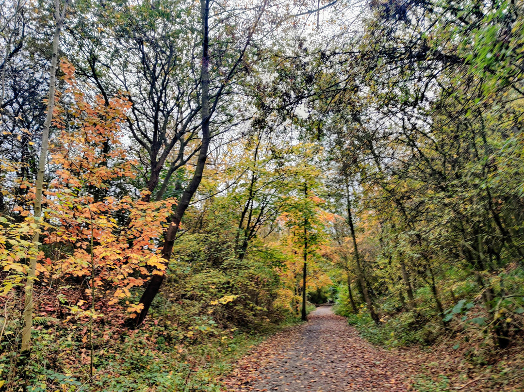 Wynyard Woodland Park-斯托克顿提斯必去景点
