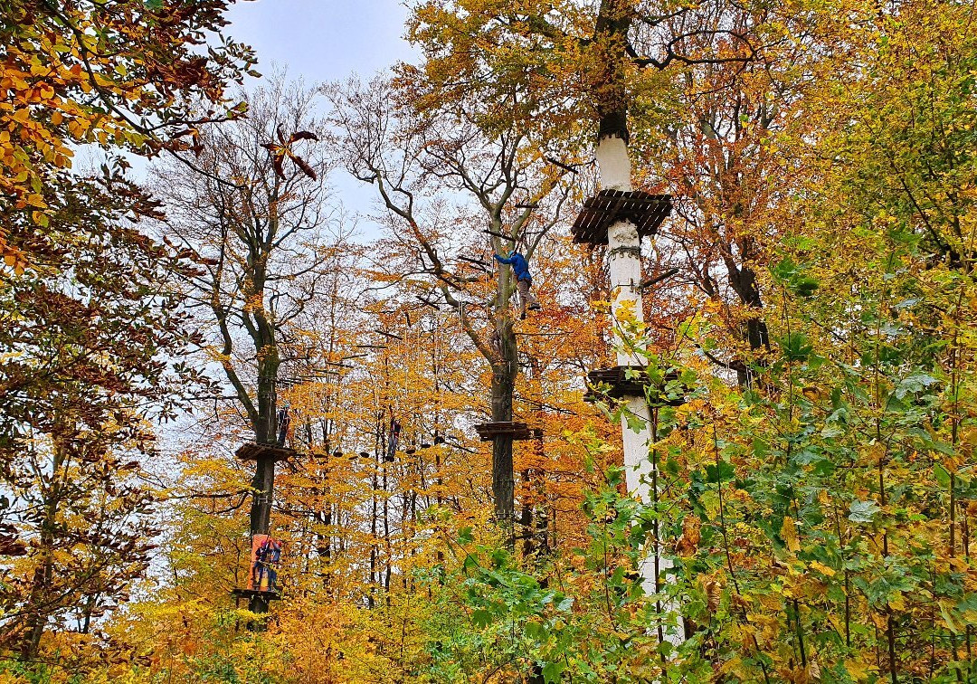 Kletterpark Detmold景点图片