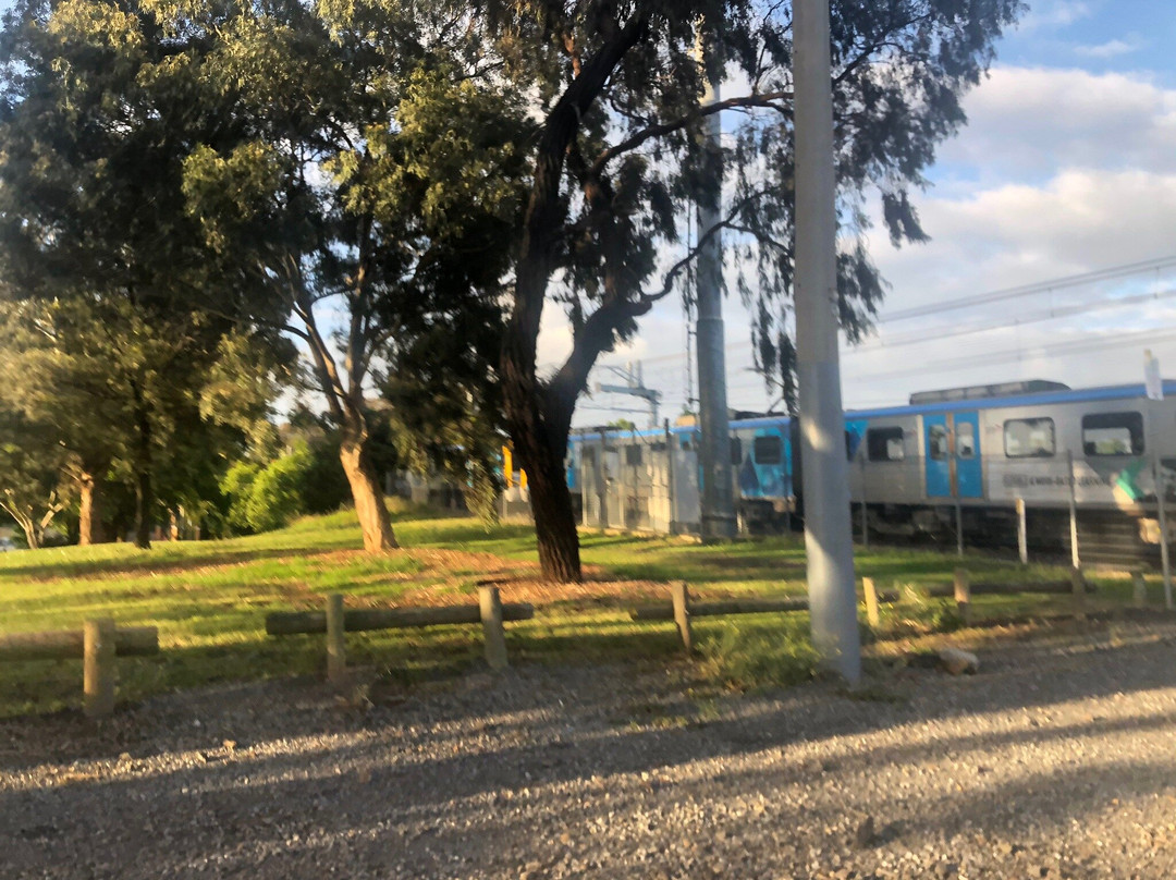 Marion Street Reserve-布莱顿必去景点