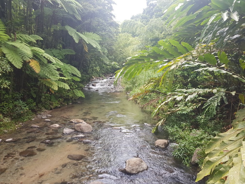 Foret Coeur Bouliki-Saint-Joseph必去景点