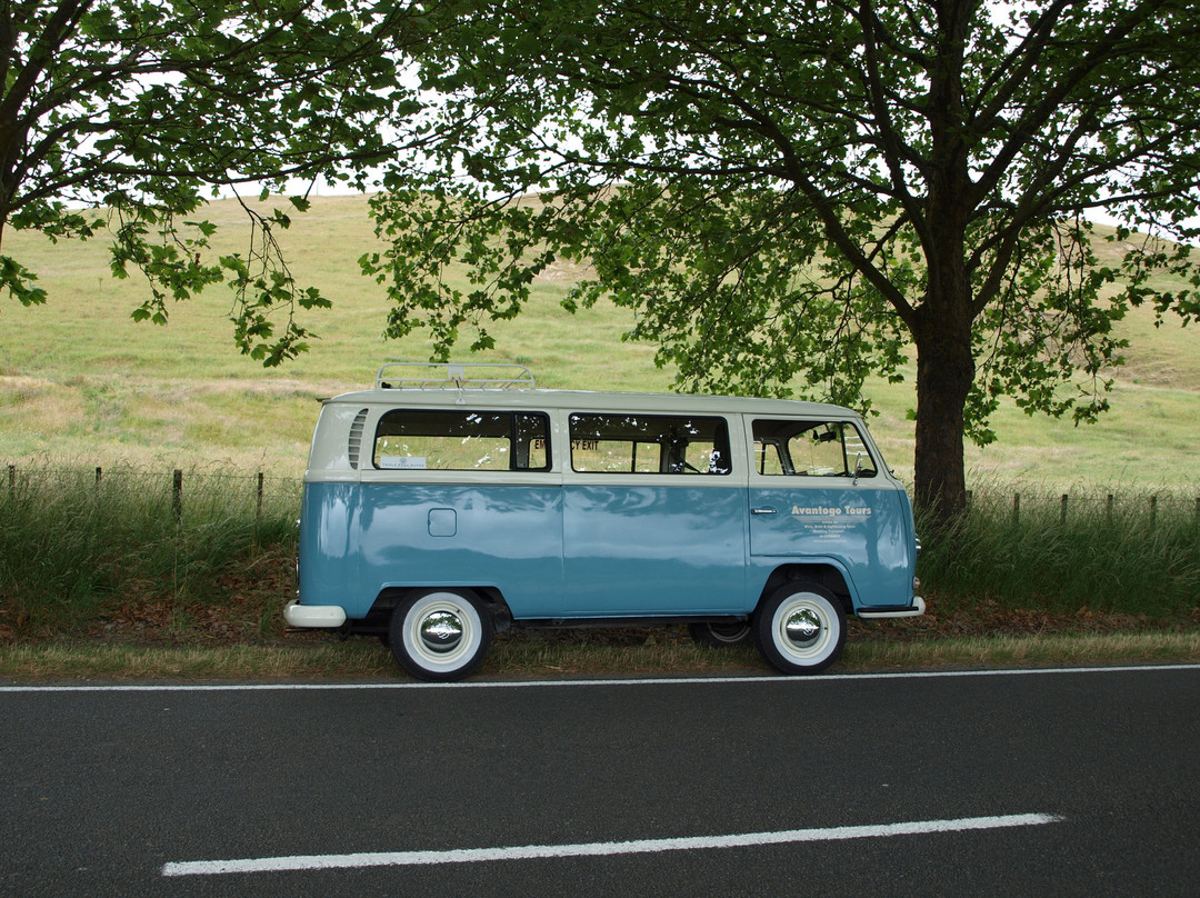 Avantogo Tours-纳皮尔必去景点