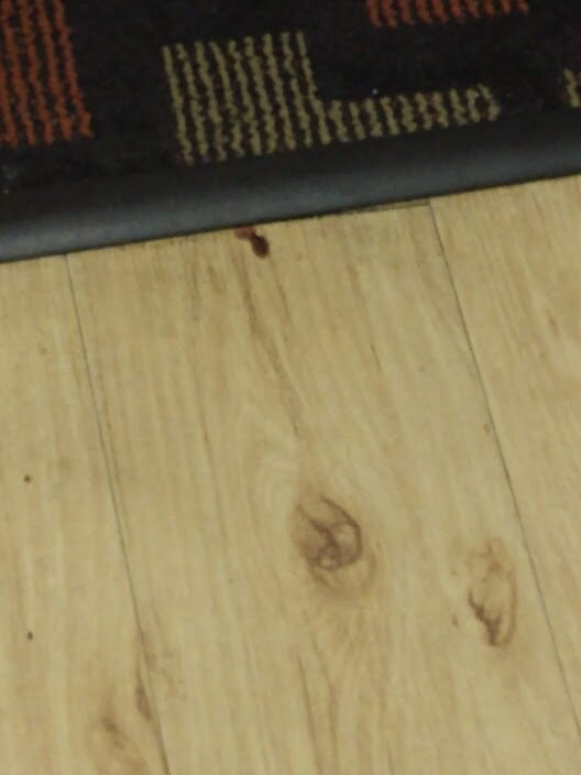 Suburban Extended Stay Hotel Clarksville主图