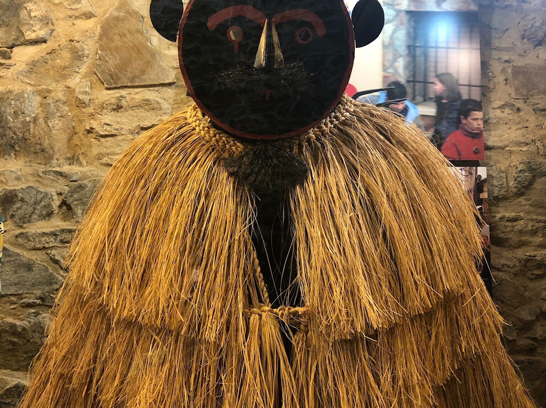 Museu Ibérico da Máscara e do Traje景点图片
