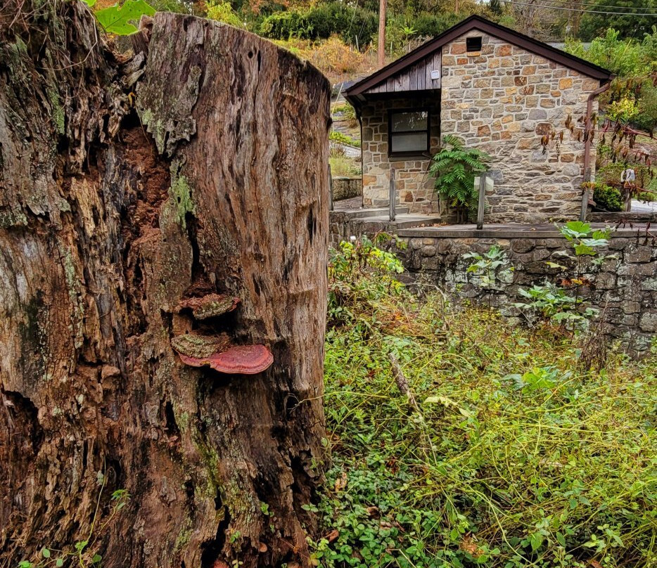 Gunpowder Copper Works-Glen Arm必去景点