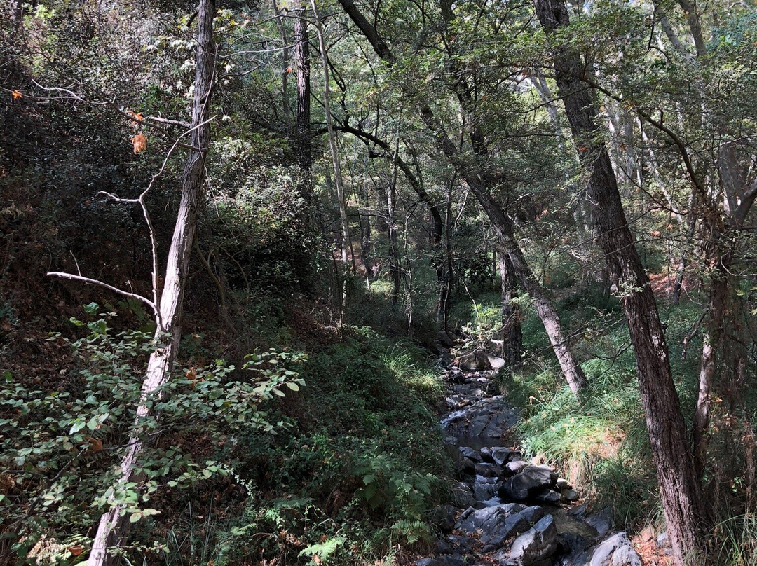 Mesa Potamos Waterfalls-帕拉翠斯必去景点