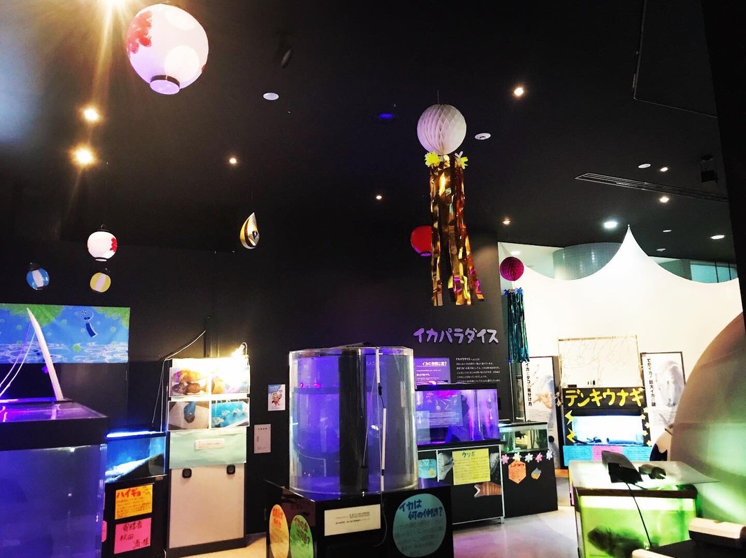 Marient-八户市必去景点