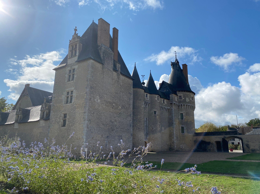 Chateau de Fougeres-sur-Bievre景点图片