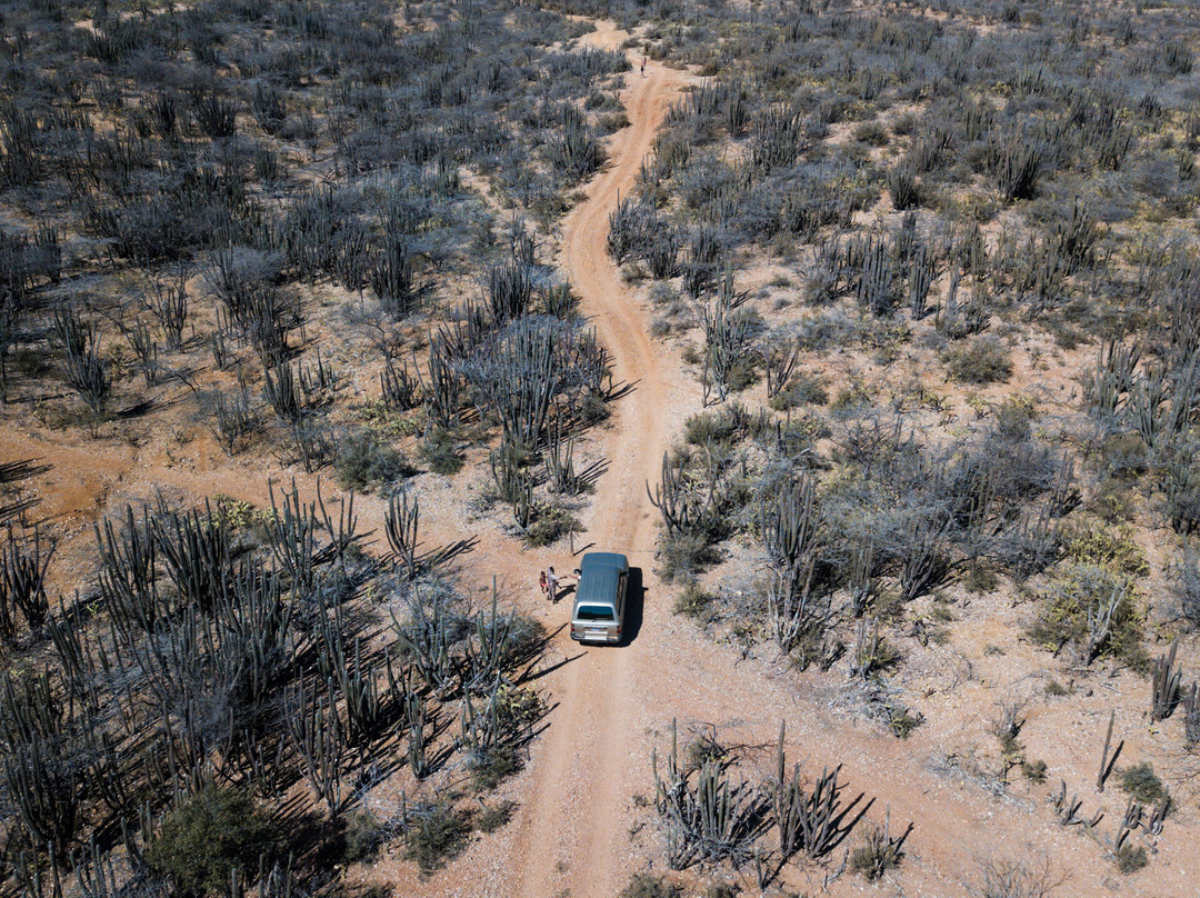 Pura Guajira Travel-Riohacha必去景点