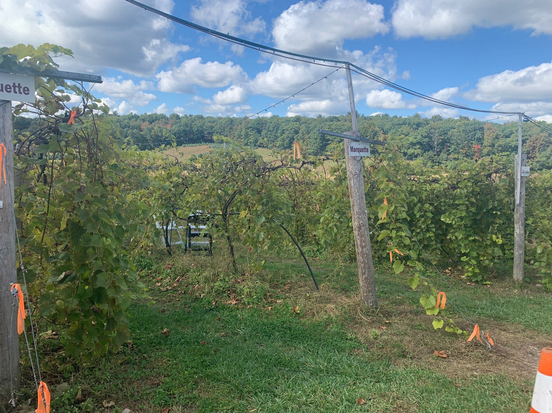 Blue Ridge Estate Winery景点图片