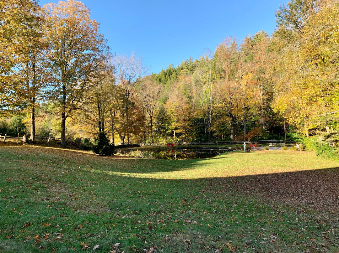 格拉夫顿酒店主图