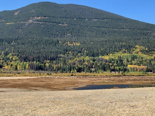 Sheep Lakes-落基山国家公园必去景点