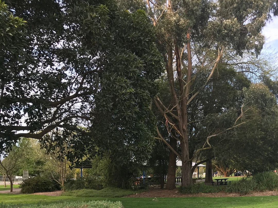 Baromi Park-Mirboo North必去景点