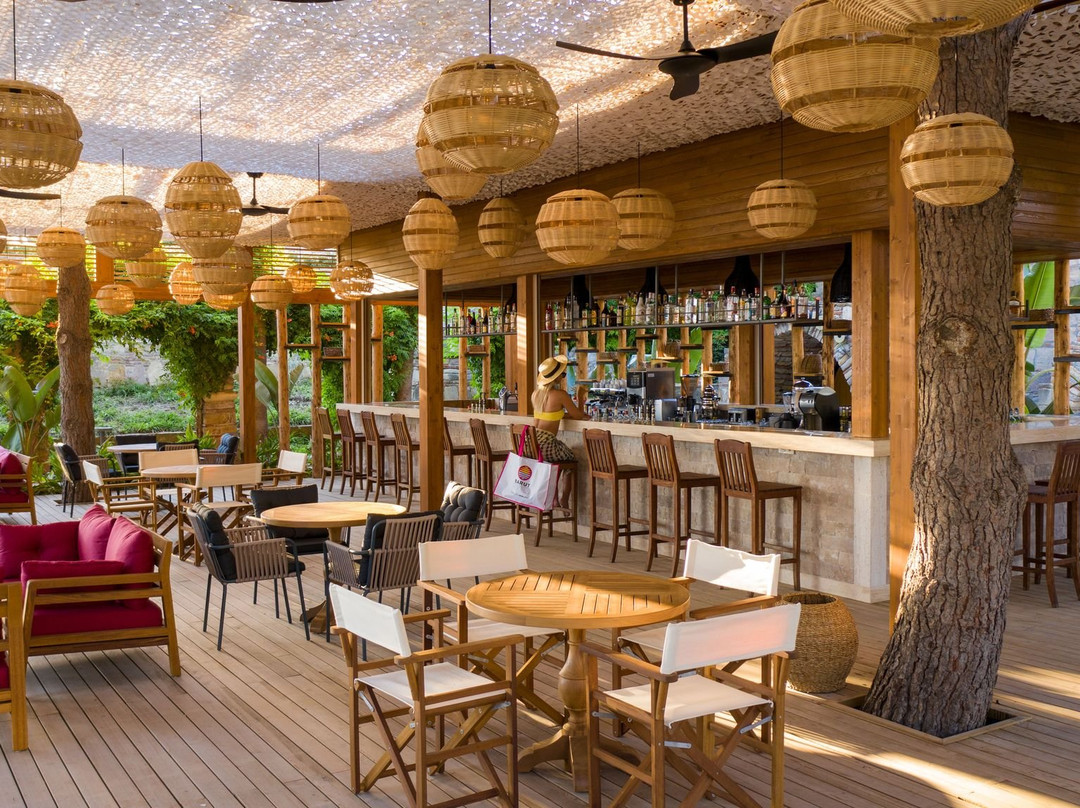 Arum Barut Collection主图