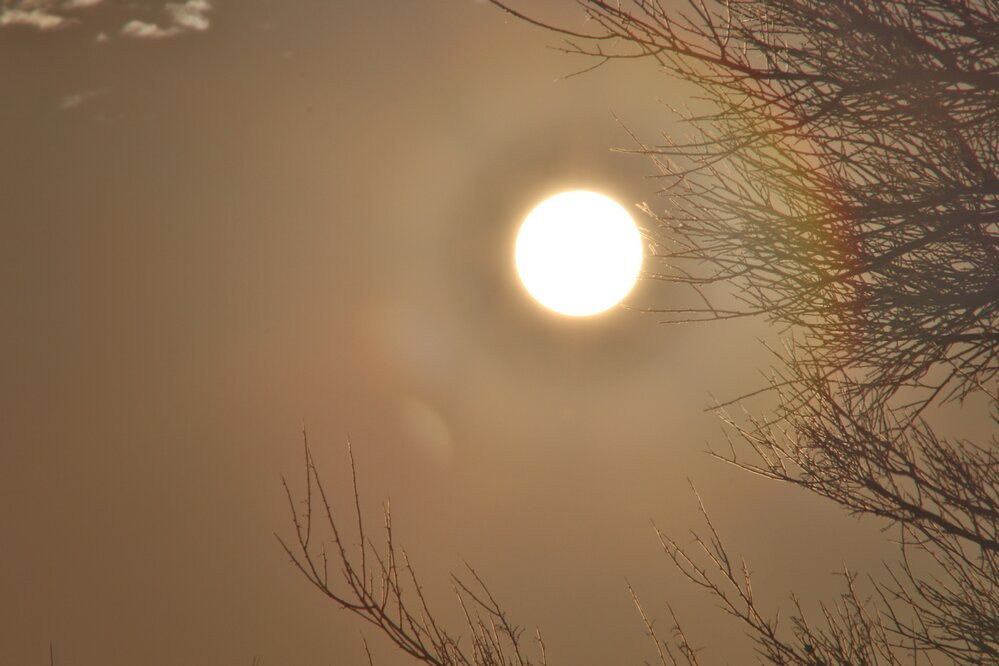 Honeybee Canyon Park-Oro Valley必去景点