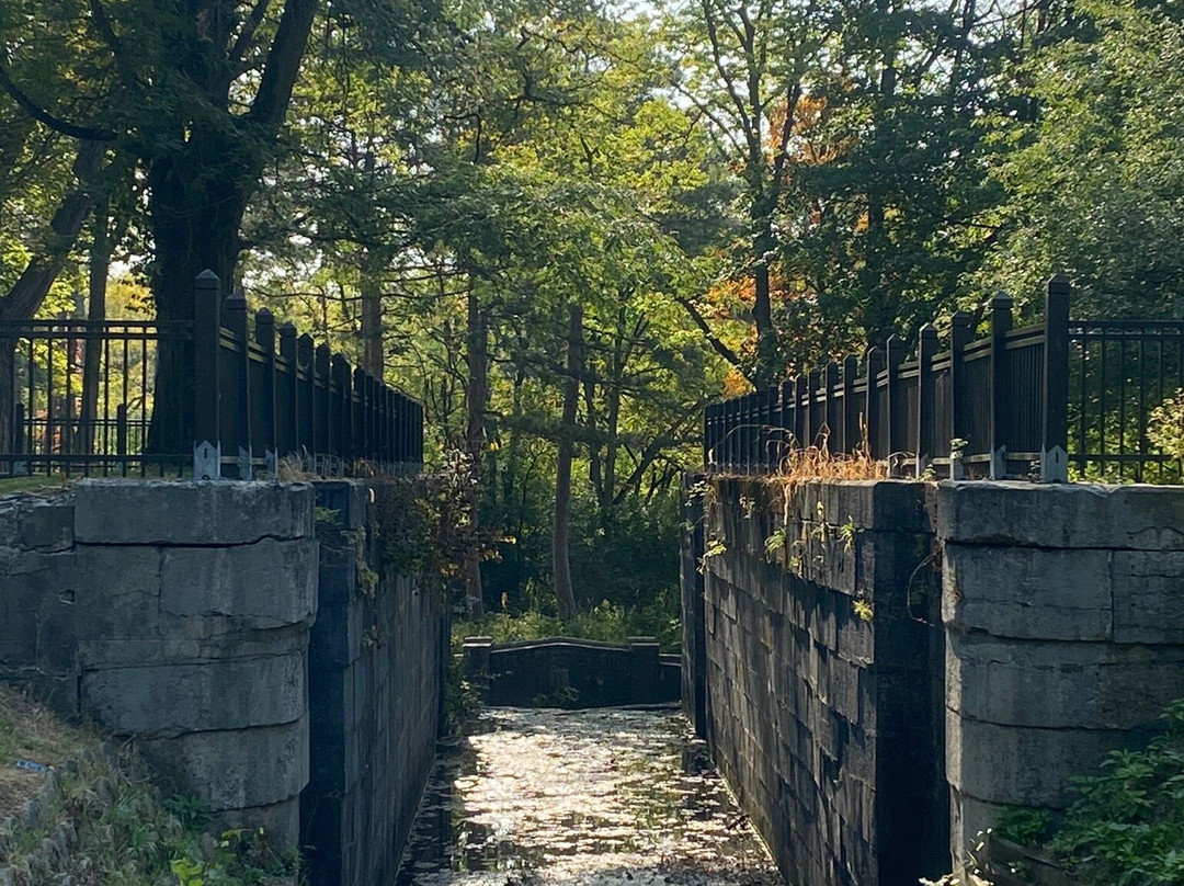 Side Cut Metropark-莫米必去景点