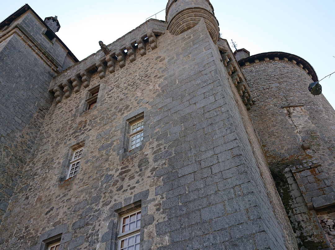 Château de Villemonteix景点图片