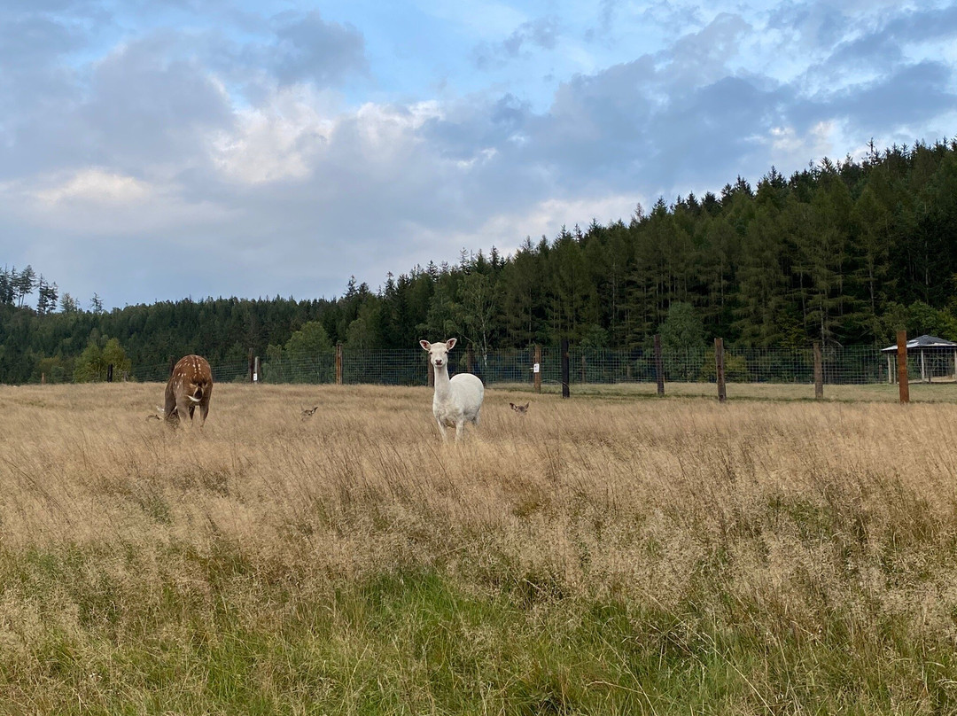 ZOO Łaczna-Mieroszow必去景点