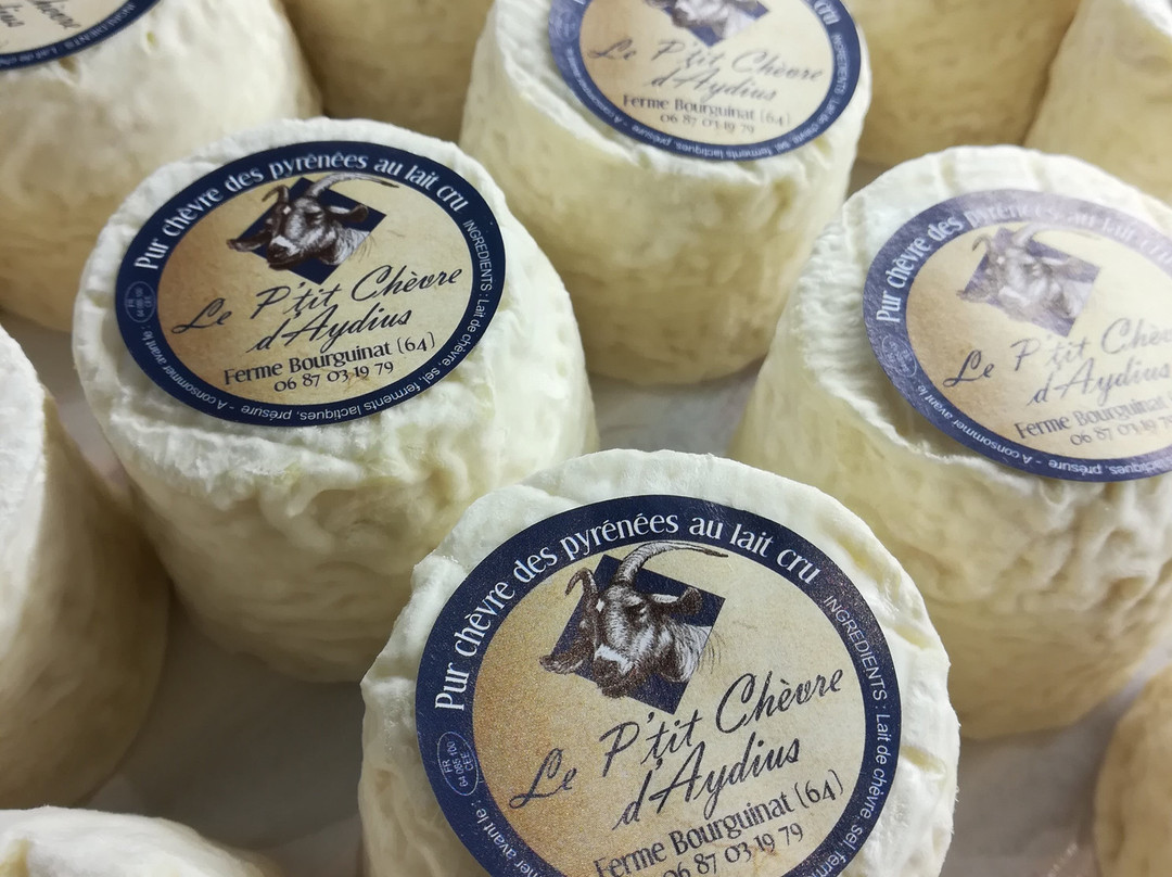1001 Fromages - Biarritz景点图片