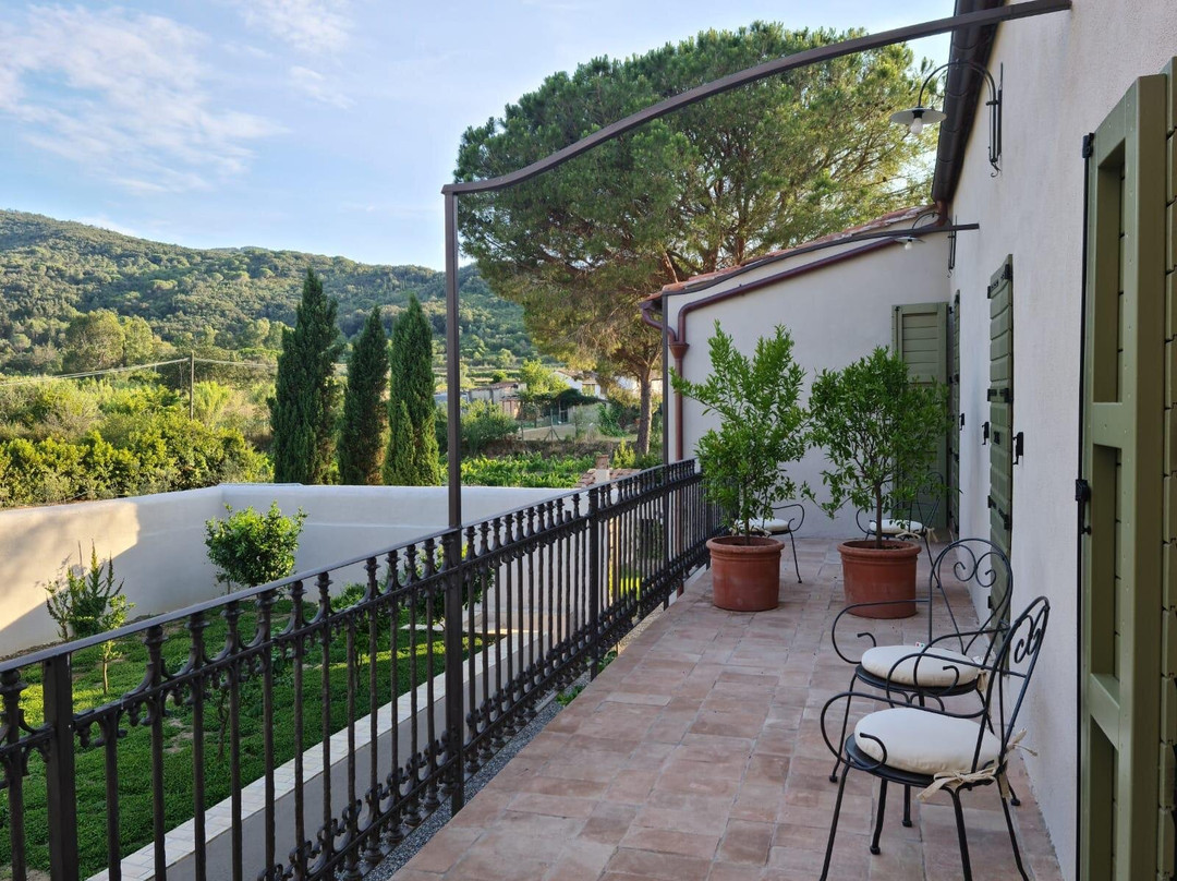 Tenuta Santa Caterina主图