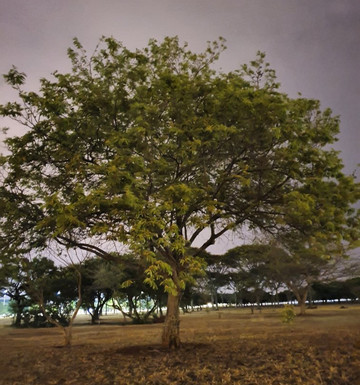 Eixo Monumental-巴西利亚必去景点