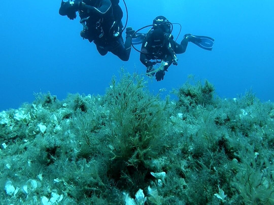 DiveBase Malta-圣保罗湾城必去景点