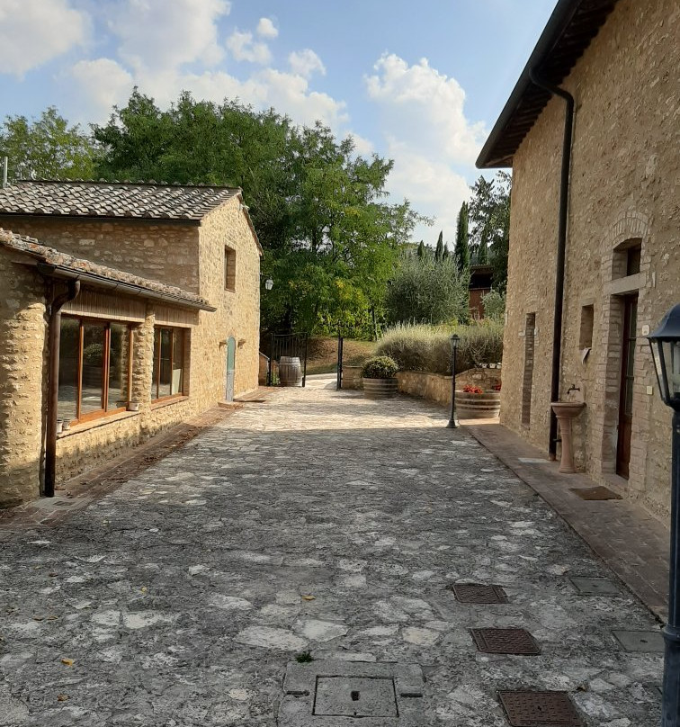 Agriturismo Croce di Bibbiano主图
