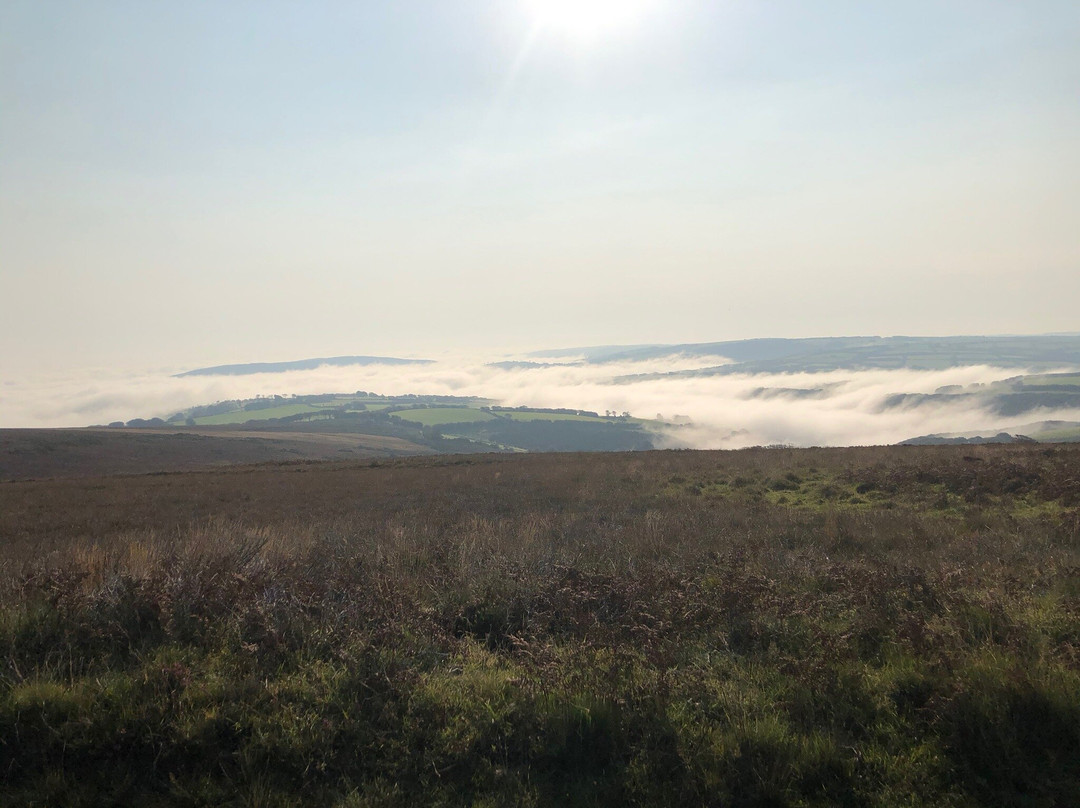 Exmoor Wildlife Safaris景点图片