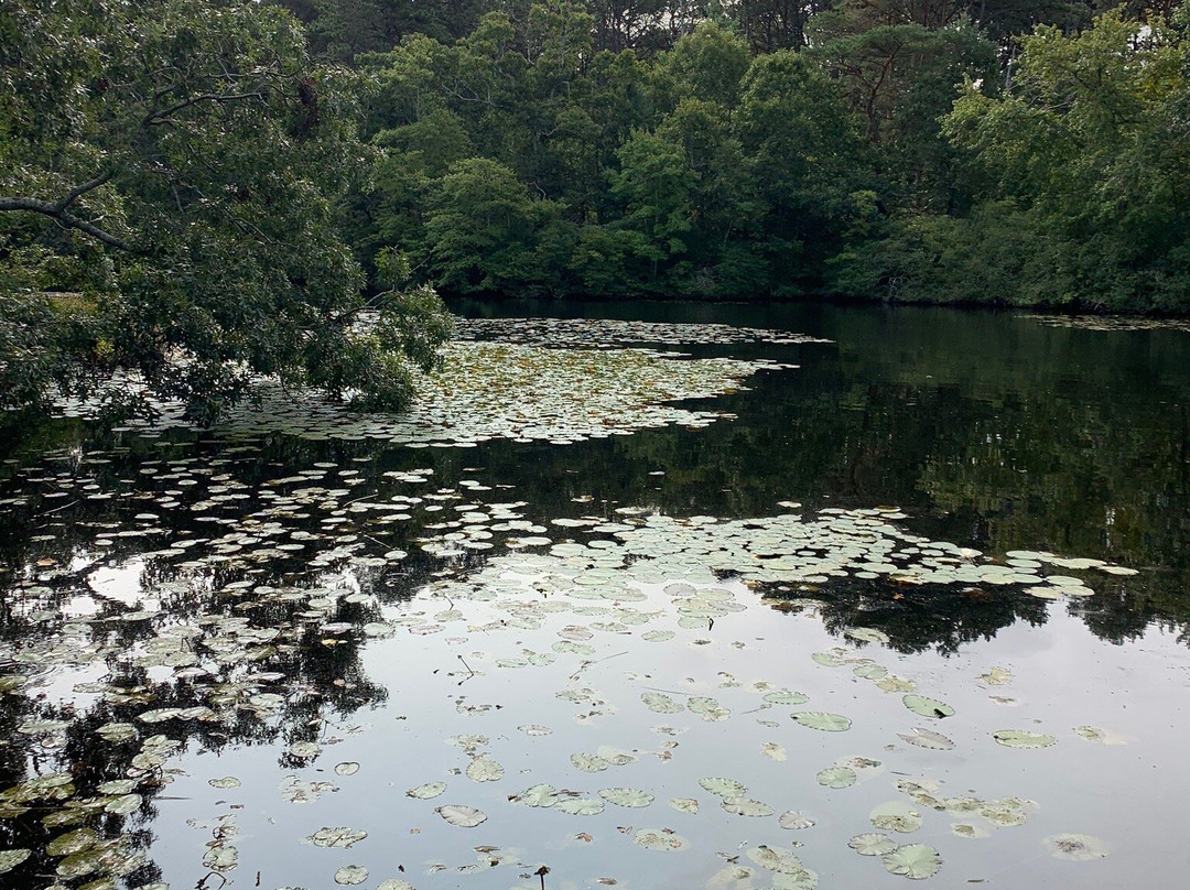 Mass Audubon Wellfleet Bay Wildlife Sanctuary景点图片