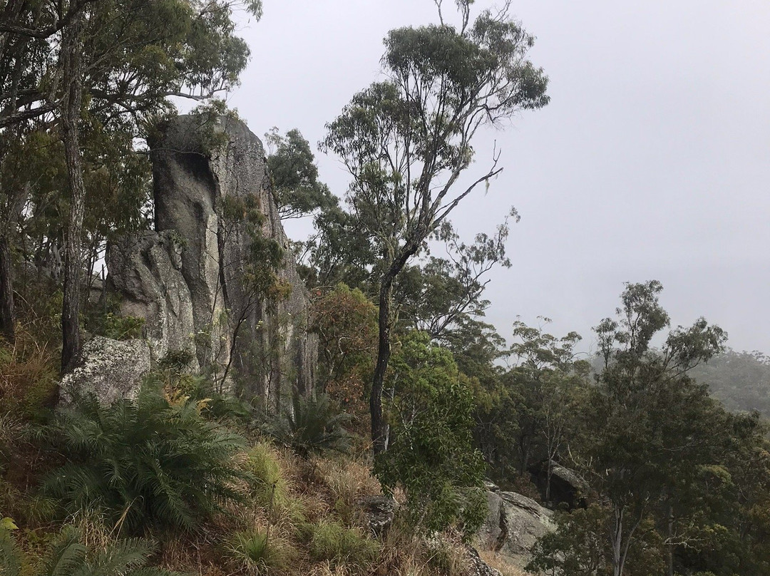 Davies Creek National Park-马里巴必去景点