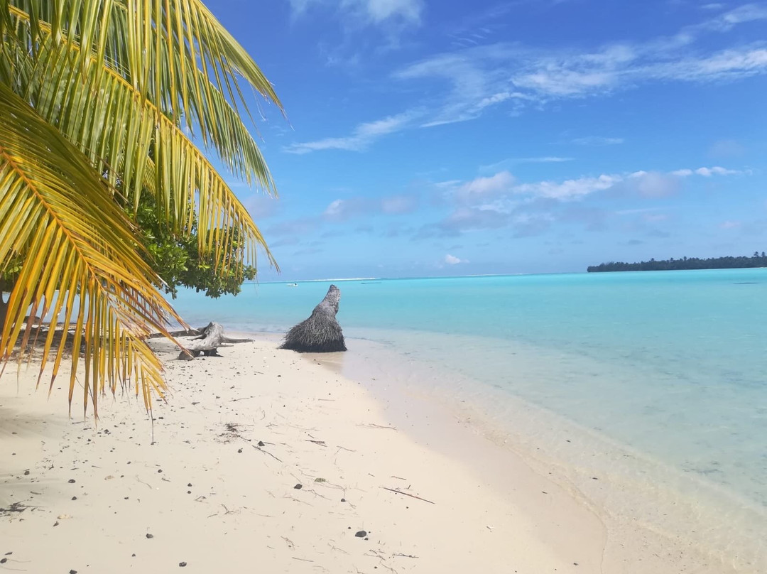 Pension Taputea主图