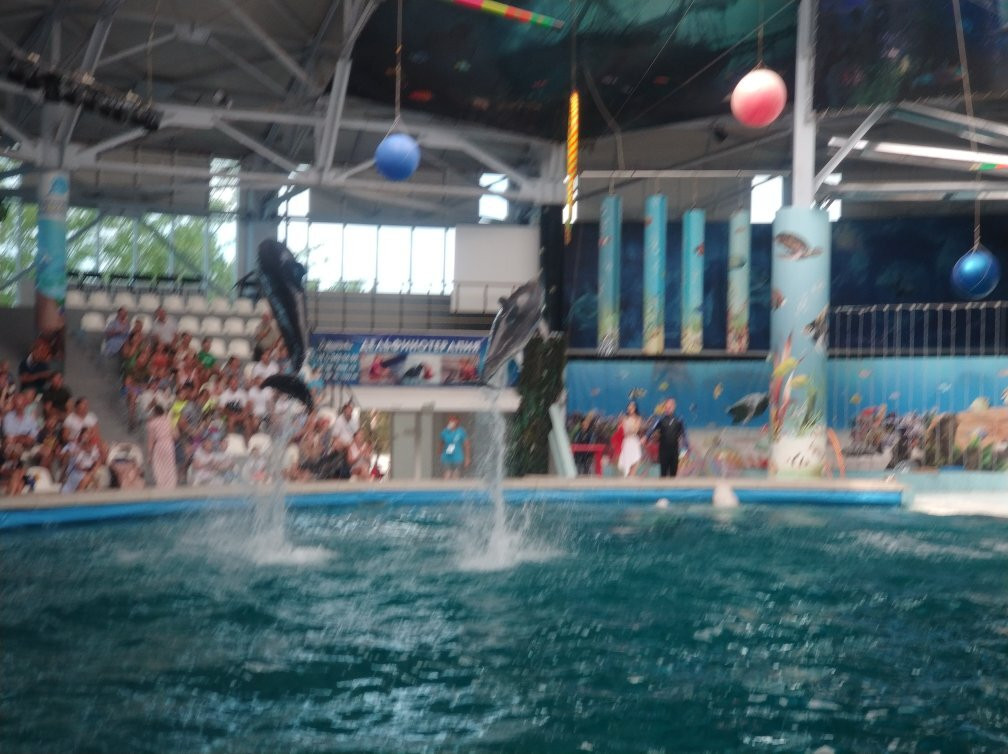 Yevpatoriya Dolphinarium景点图片