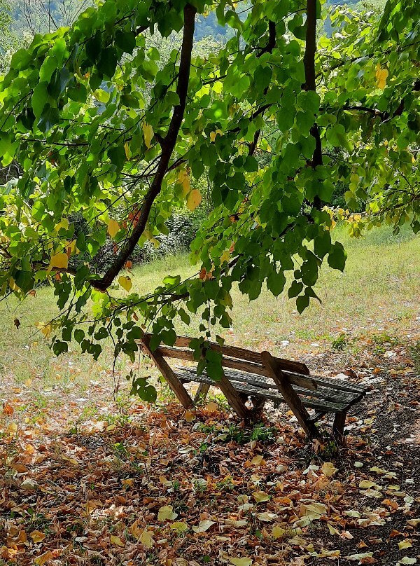 Parco Del San Pellegrino-博洛尼亚必去景点