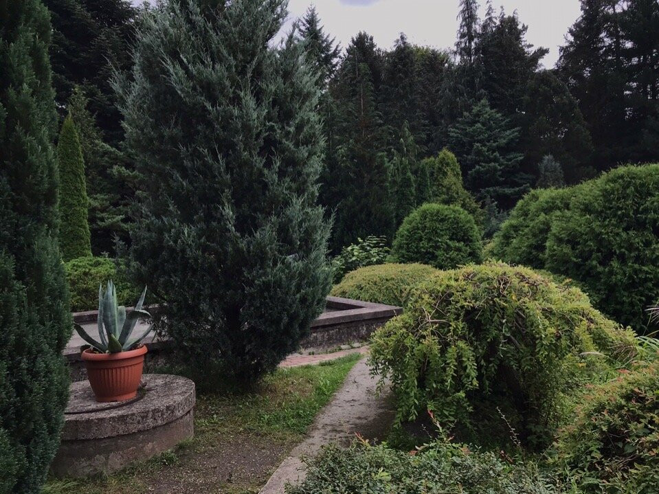 Botanical Garden of the Baltic Federal I. Kanta University-加里宁格勒必去景点