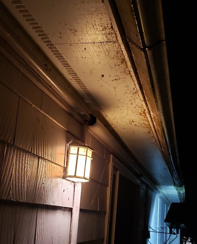 Super 8 by Wyndham Sturbridge主图