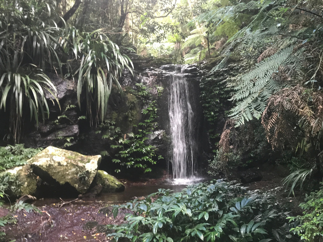 Lamington National Park景点图片