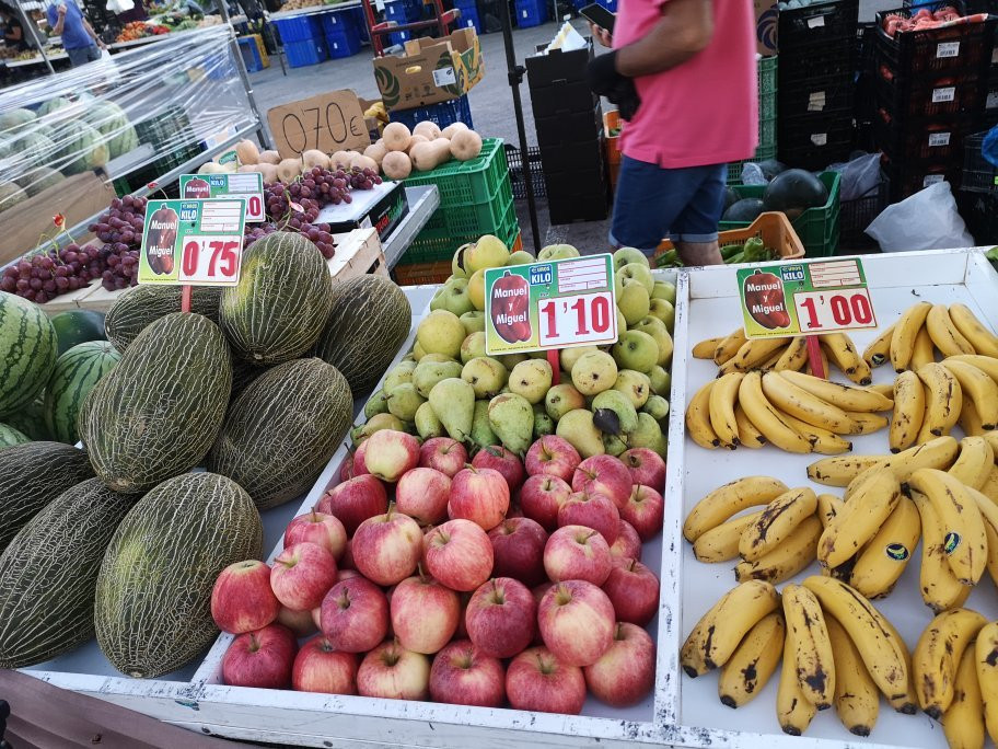 Mercadillo Campo de Guardamar del Segura景点图片