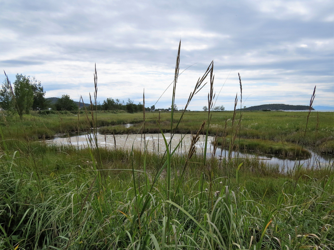 Parc de l'Ancien-Quai-Saint-Andre-de-Kamouraska必去景点
