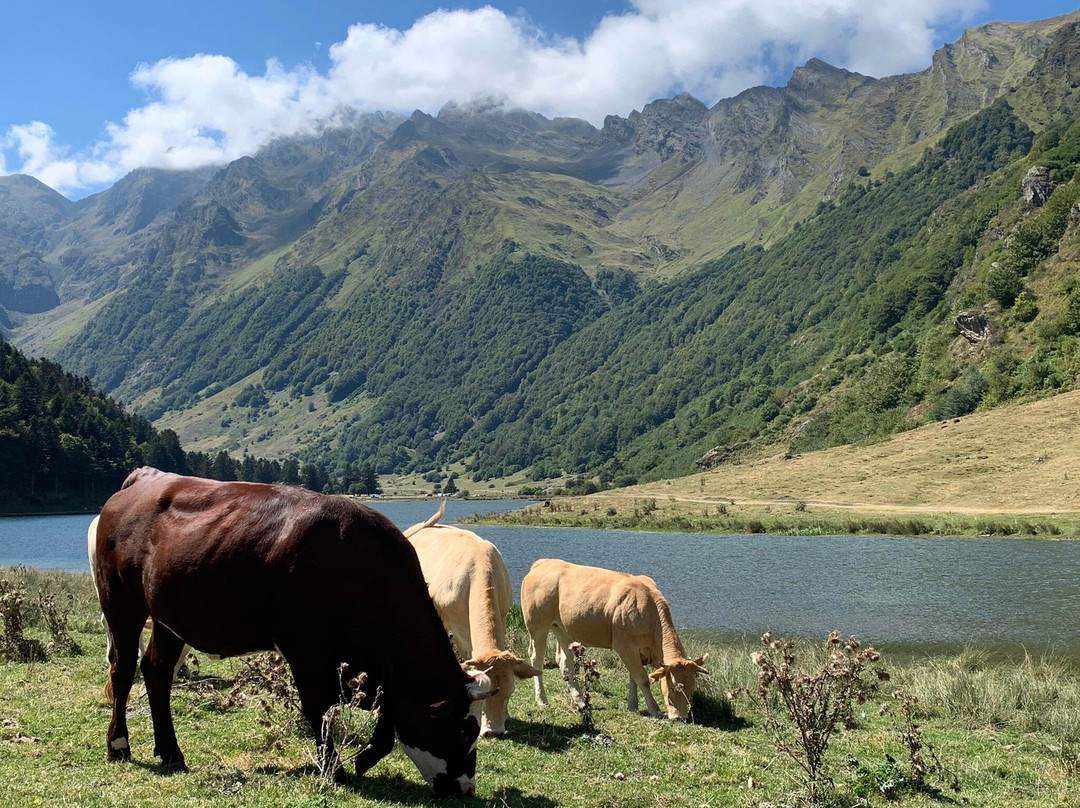 Lac D'Estaing-Estaing必去景点