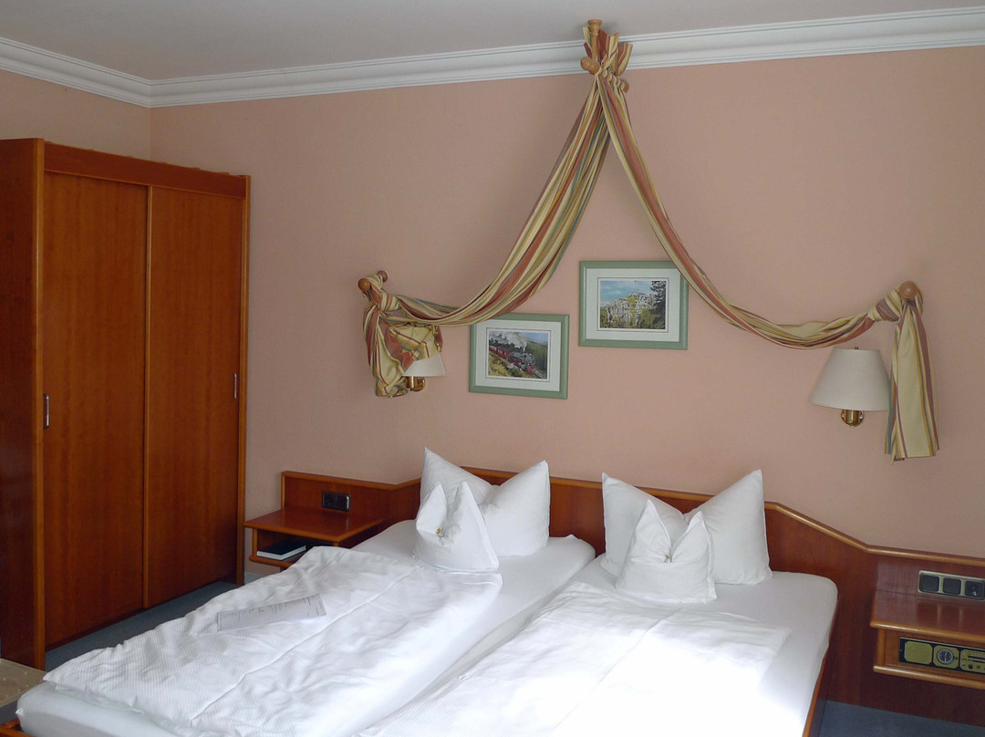 Mandelholz Hotel Grüne Tanne主图
